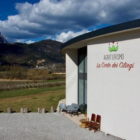 Agritur La Corte Dei Ciliegi Trento Dış mekan fotoğraf